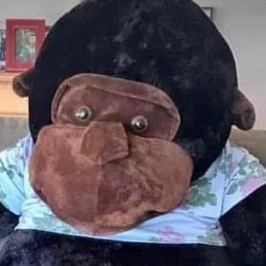 Meet your Posher, Riley